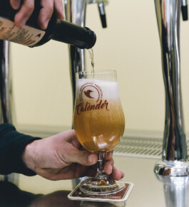  Birra Calènder - Birrifico Artigianale Tuglie, Lecce