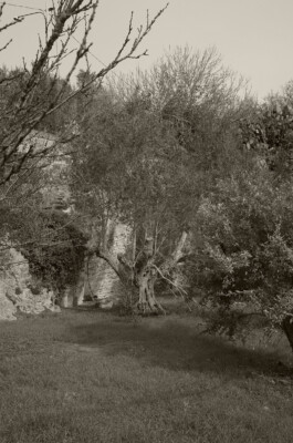  Birra Calènder - Birrifico Artigianale Tuglie, Lecce