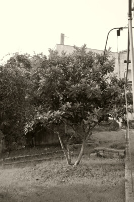  Birra Calènder - Birrifico Artigianale Tuglie, Lecce