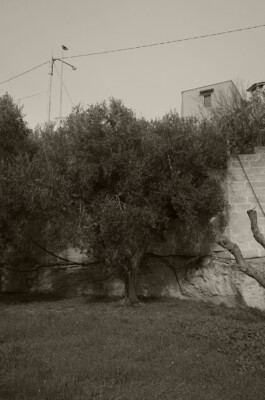  Birra Calènder - Birrifico Artigianale Tuglie, Lecce